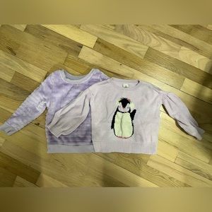 Toddler Girl Sweaters 2T